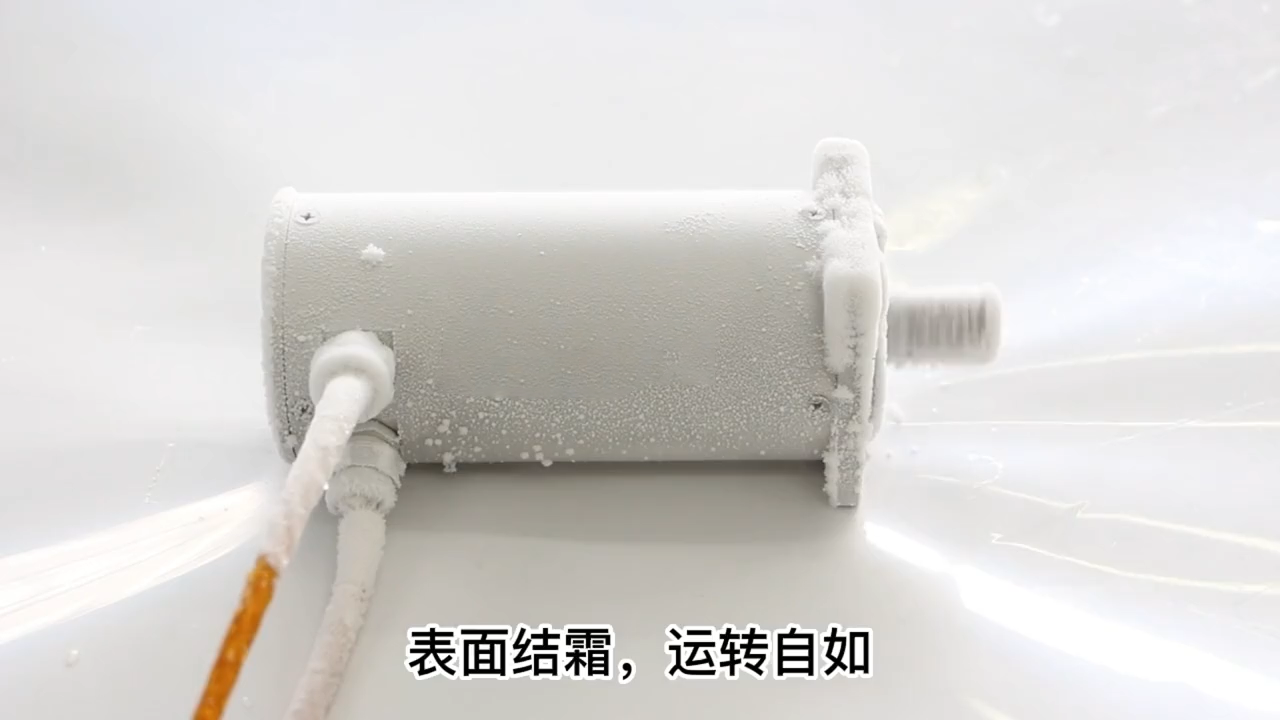 低溫-196度真空電機(jī).png
